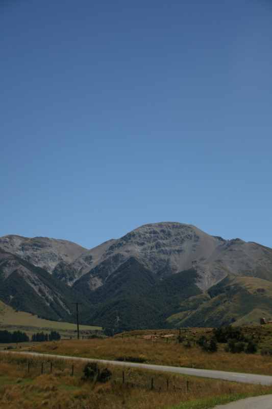 Nieuw-Zeeland 2011 - 1273